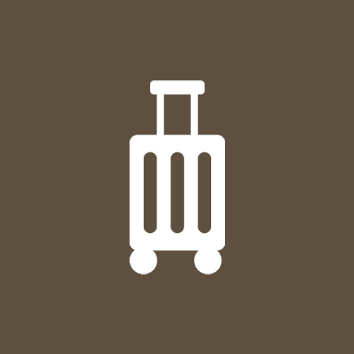 icon 10