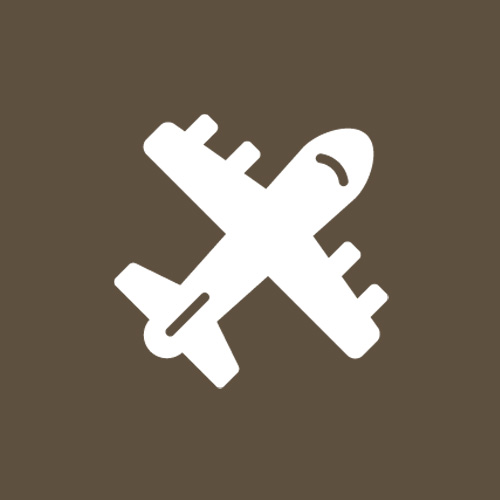 icon 7